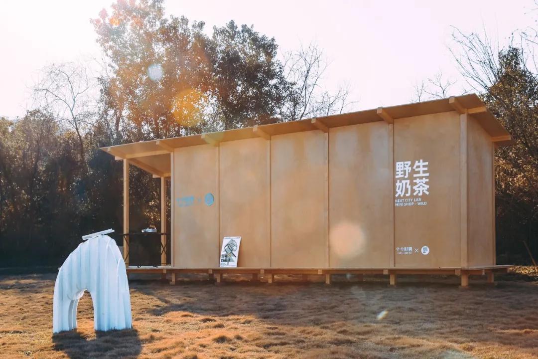 武汉好友新冠治愈后，我们决定到远郊造木屋，每家住10㎡