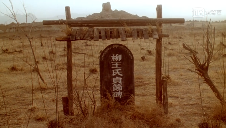 1993年，黄建新拍了部张艺谋式电影，特“西部”，原著贾平凹