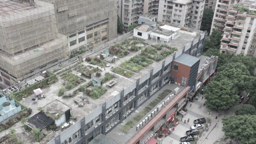 一群年轻人众筹在城市上空造了一个1500平的巨型花园