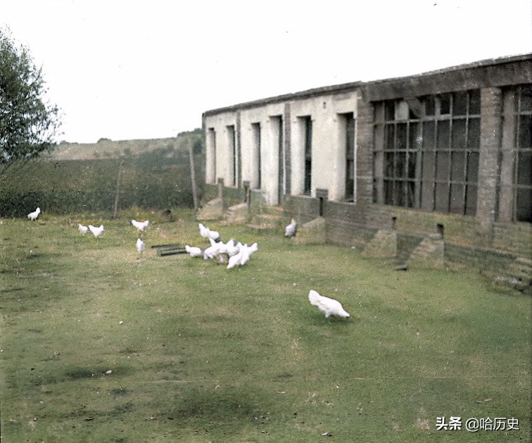 1932年河北定县，古老城墙重现，饲养意大利进口鸡畜牧业发达