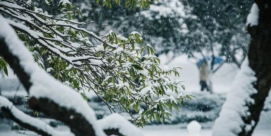 雪后的中国，穿越了千年！惊艳了世界