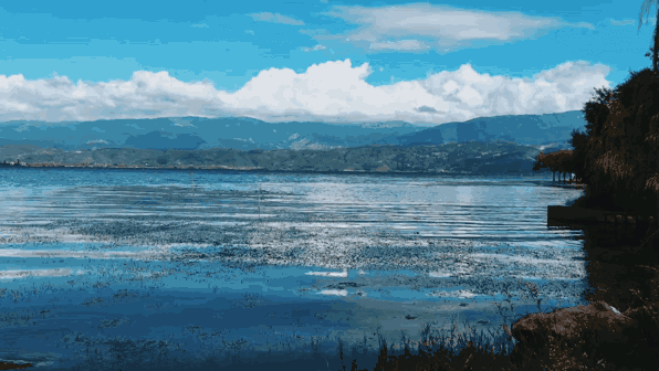 《瓦尔登湖》：人生的三重境界