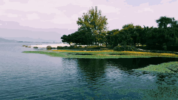 《瓦尔登湖》：人生的三重境界