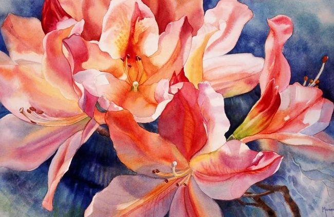花与光的碰撞，她的水彩画不仅细腻灵敏，还原了花卉的芬芳形态