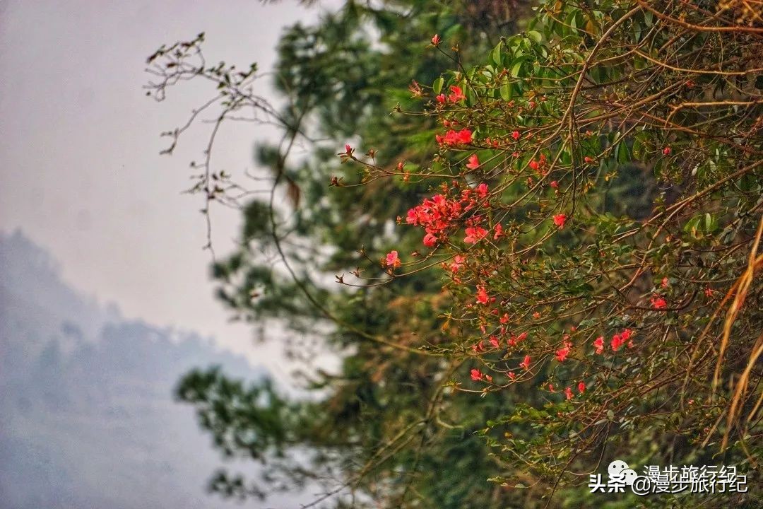 黄石七峰山，姐爬的不是山，明明是天梯