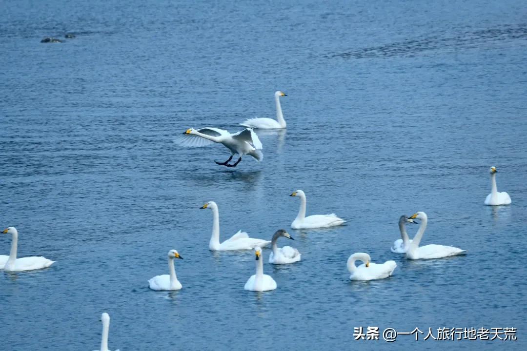 1月最佳旅行地，藏着你没见过的美丽中国，2021的第一份清单