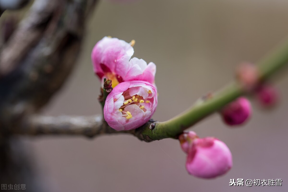 冬至：一年最长夜，一阳初起时