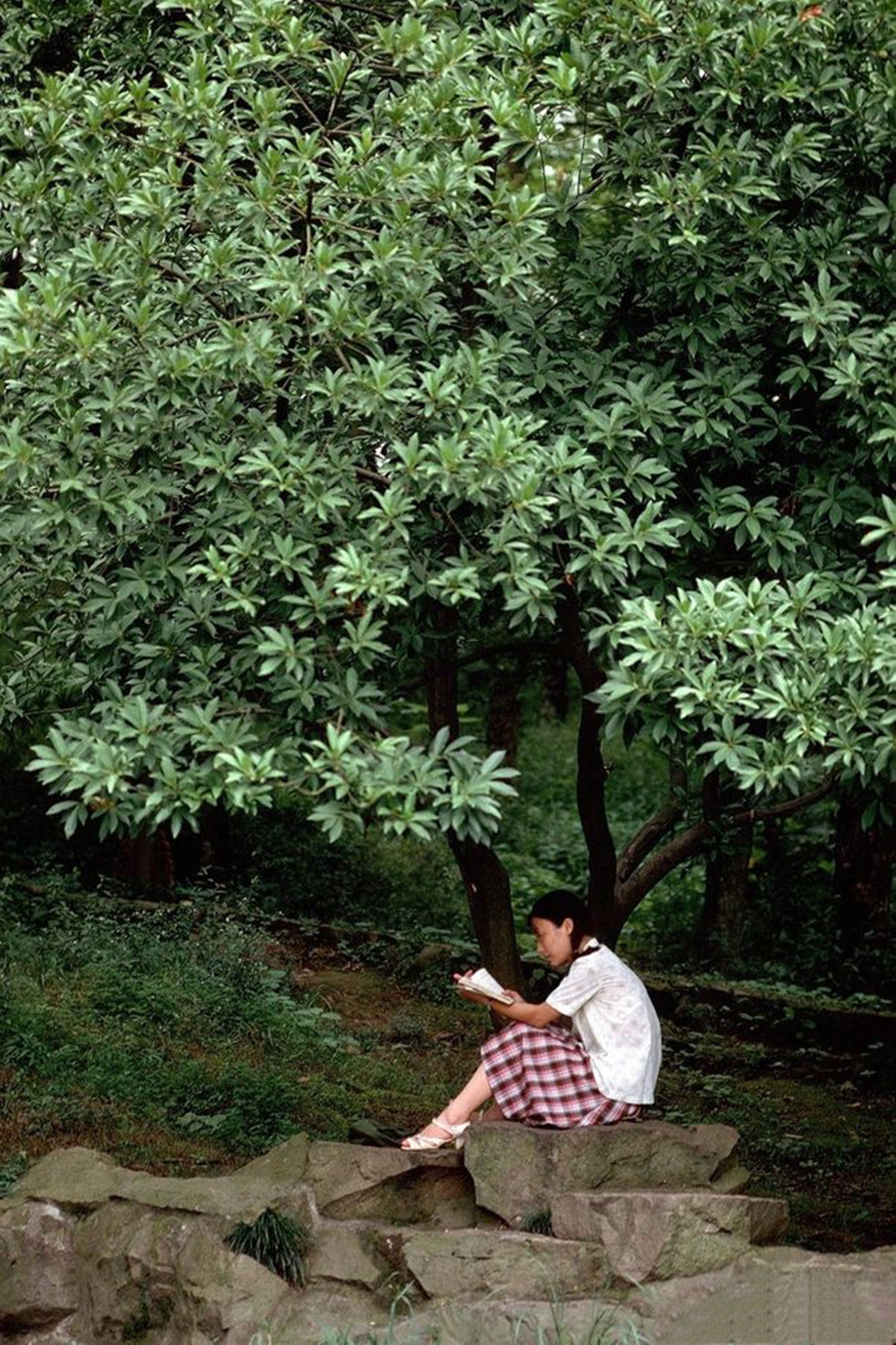 老照片：80年代的杭州，原汁原味的杭州之美都在这些老照片里