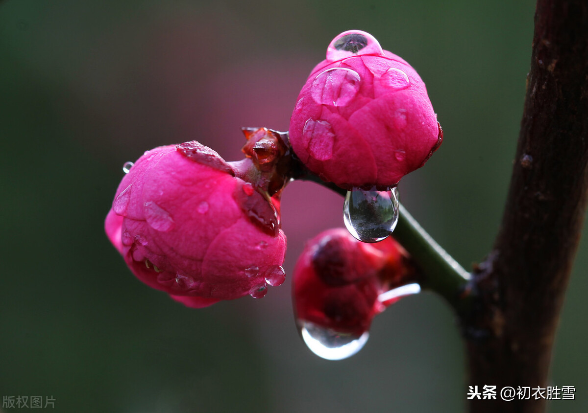 冬至：一年最长夜，一阳初起时