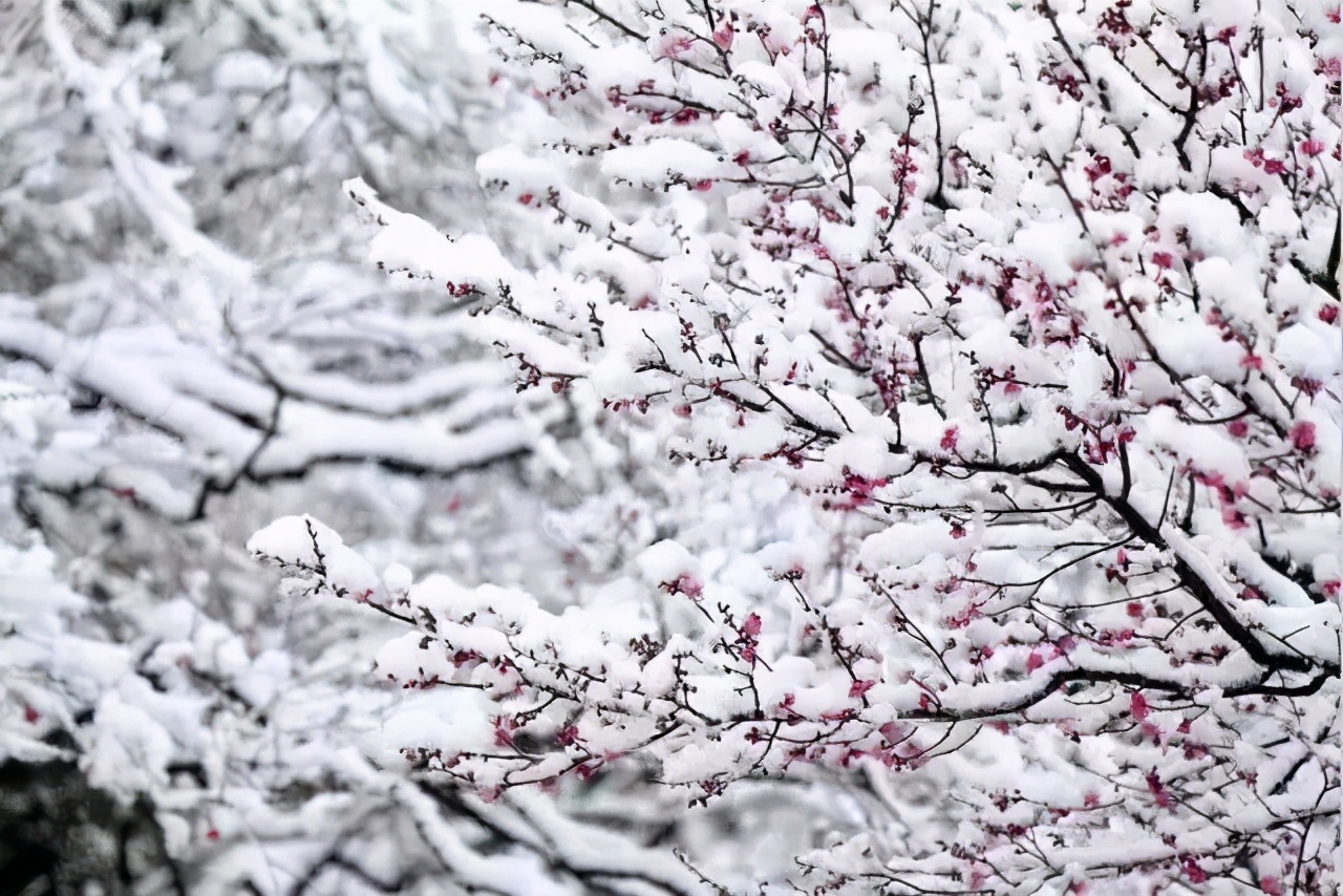 雪后的中国，穿越了千年！惊艳了世界