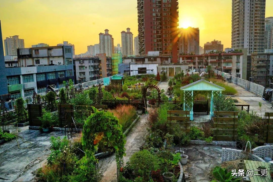 一群年轻人众筹在城市上空造了一个1500平的巨型花园