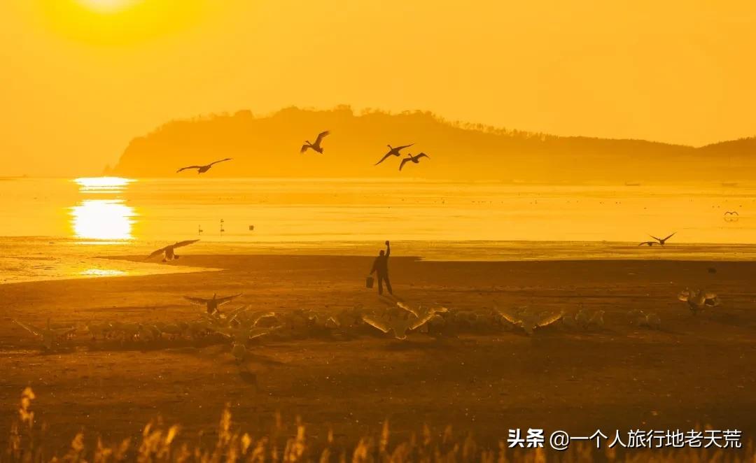 1月最佳旅行地，藏着你没见过的美丽中国，2021的第一份清单