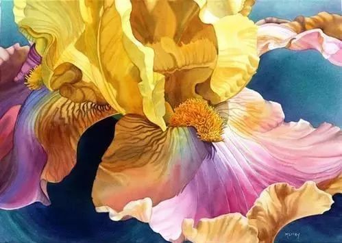 花与光的碰撞，她的水彩画不仅细腻灵敏，还原了花卉的芬芳形态