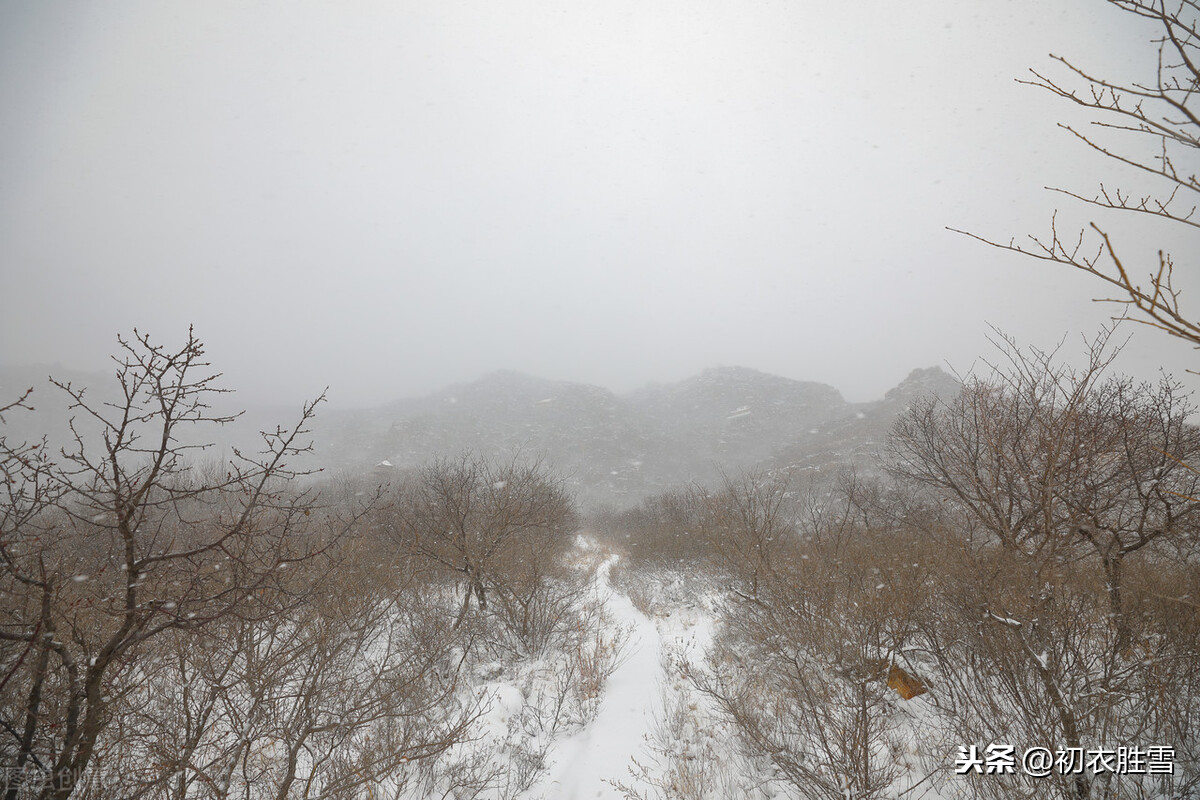 打动人心的风雪古诗词9首，风雪乱山深，风雪夜归人