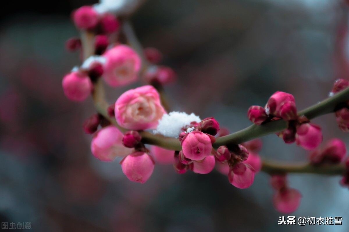 冬至：一年最长夜，一阳初起时