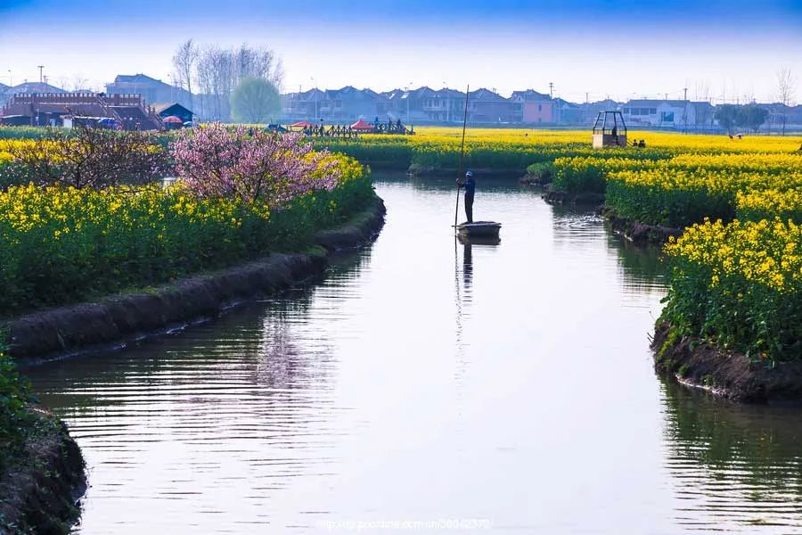 3月最佳旅行地榜单，这十个地方，已然花开成海