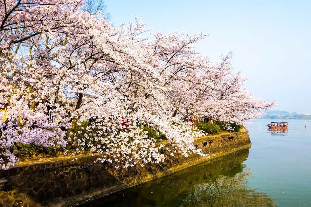 3月最佳旅行地榜单，这十个地方，已然花开成海