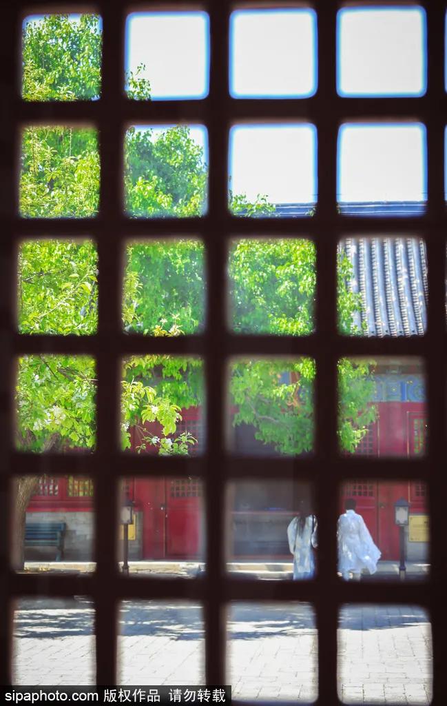 景美人又少！古树梨花下，明代古刹中，流传500年的旋律在北京这里依旧悠扬！