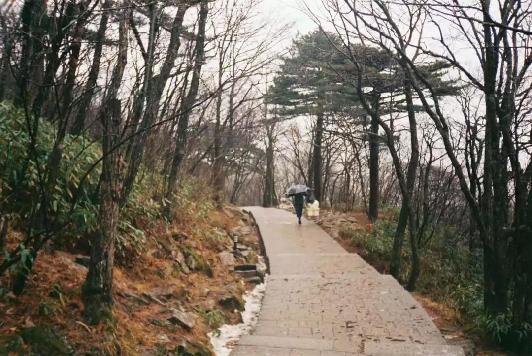 黄山 | 一山，一城，一文化