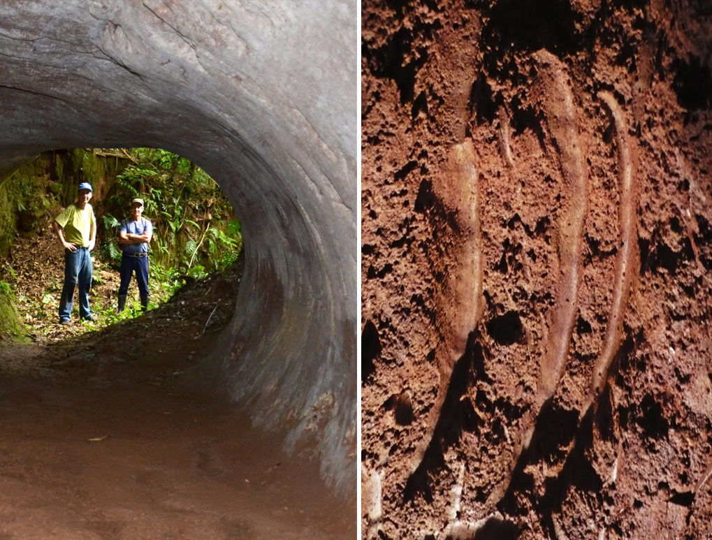 巴西13000年前的隧道，科学家研究后确认：建造者不是人类