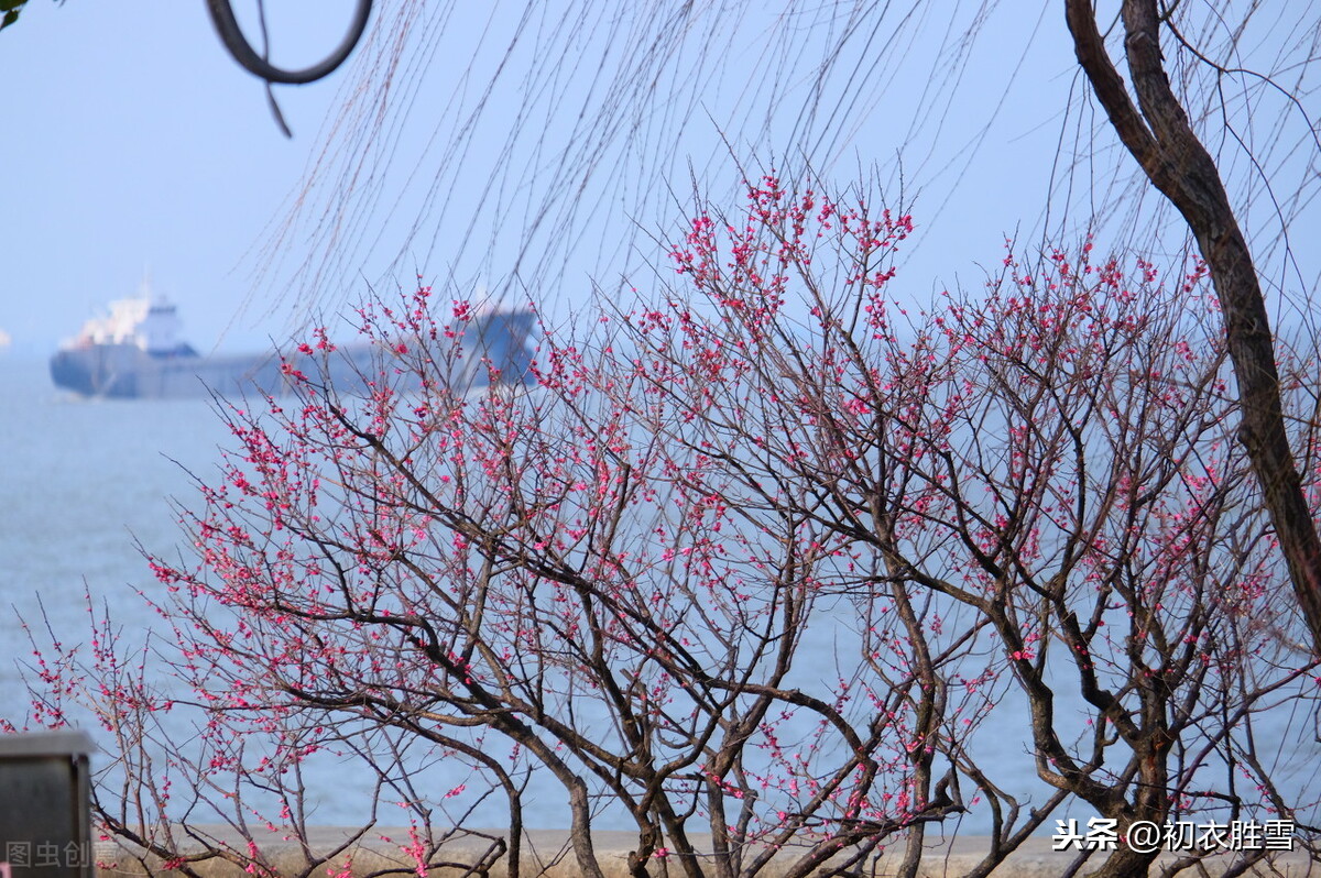 白居易早春四首诗赏：池色溶溶蓝染水，花光焰焰火烧春