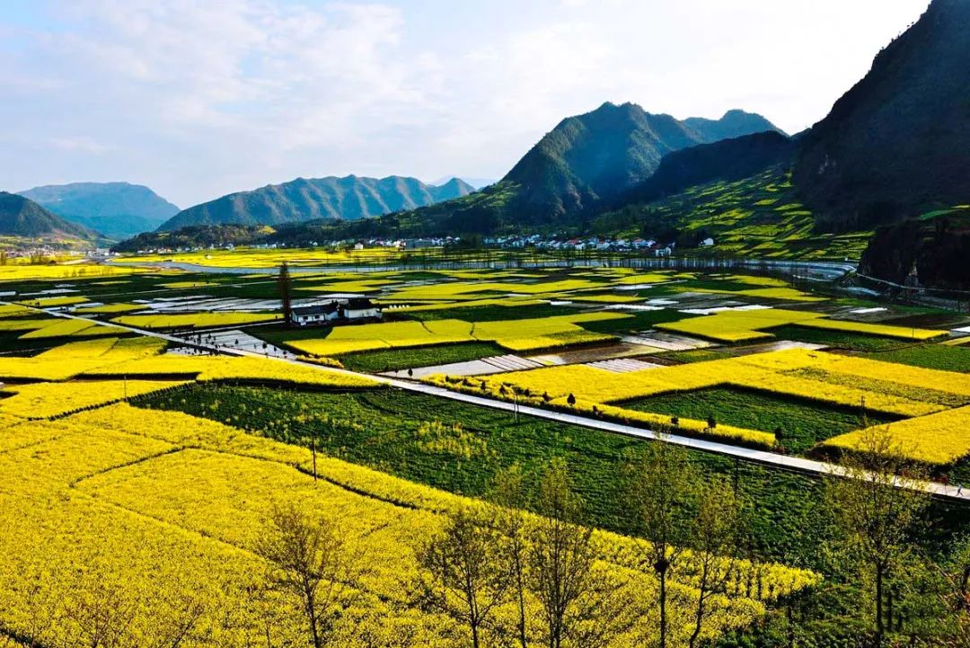 3月最佳旅行地榜单，这十个地方，已然花开成海