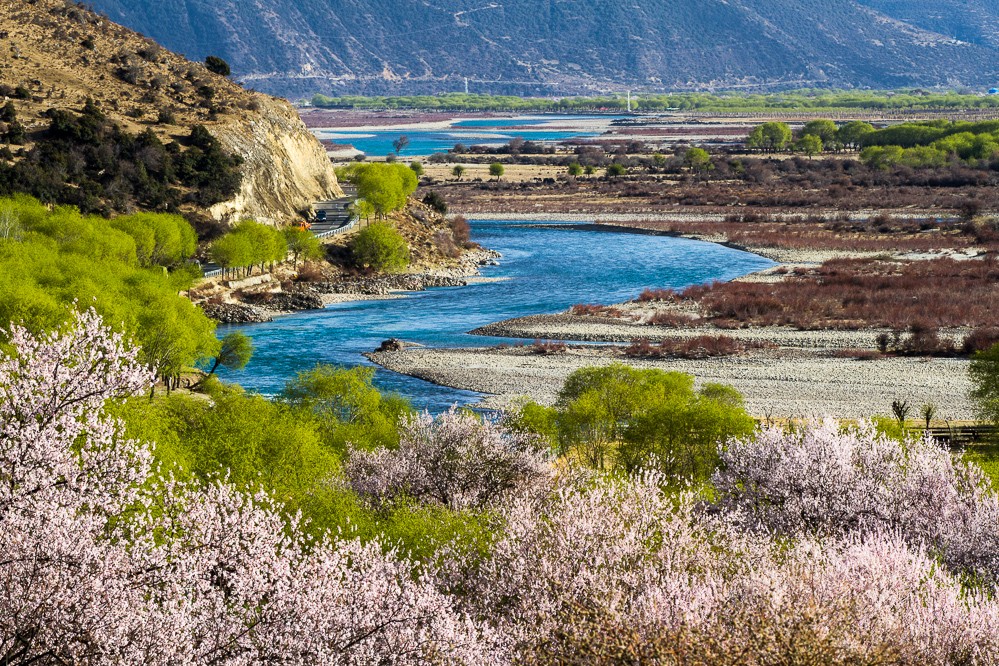 年度旅行3千万人次，被称为“西藏小江南”的林芝，究竟有多美？