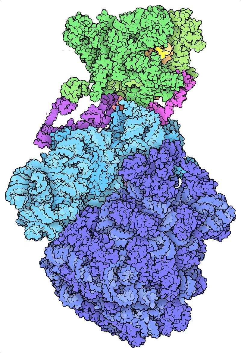 Nature：十个改变科学史的计算机程序