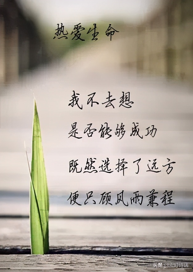 诗江湖14期 | 重提汪国真：20世纪诗坛最后一个辉煌的诗人