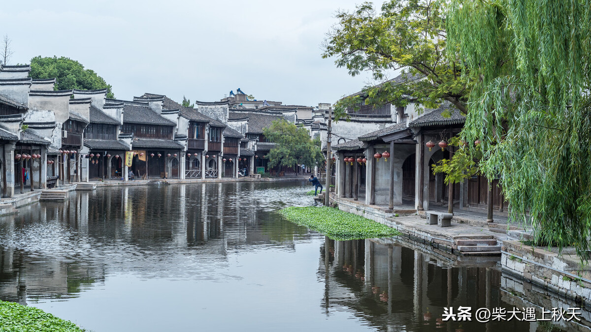 60亿富豪居住在5A级景区，距上海2h车程，美景美食都不缺