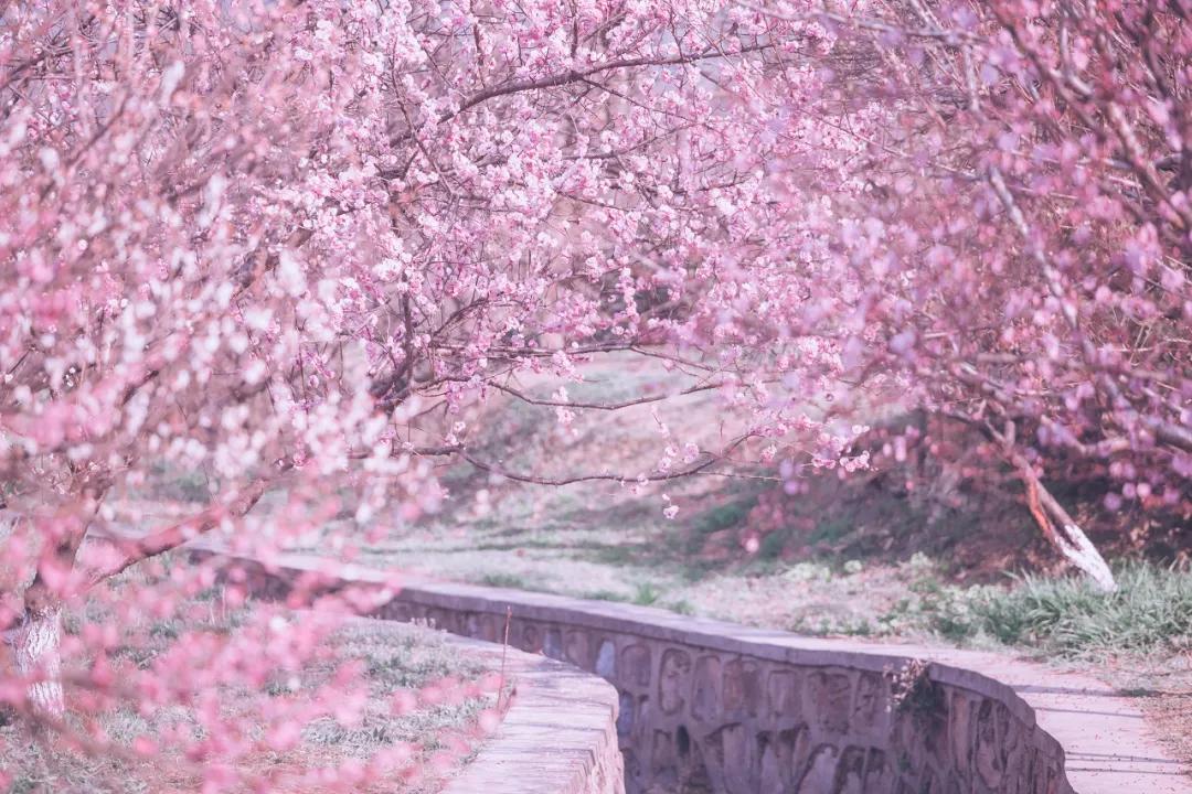 2月旅行目的地出炉：看到第一个，我就忍不住想出发