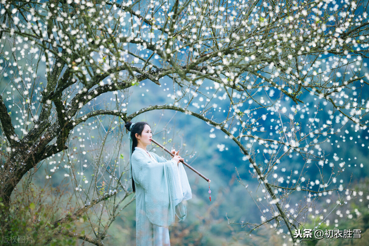 立春原是古代的春节，迎春之美，看宋朝美女头上，插戴袅袅春幡