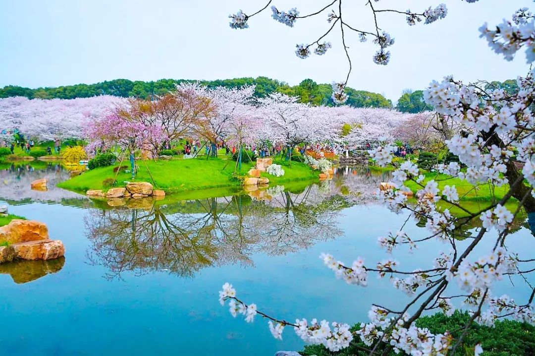 3月最佳旅行地榜单，这十个地方，已然花开成海