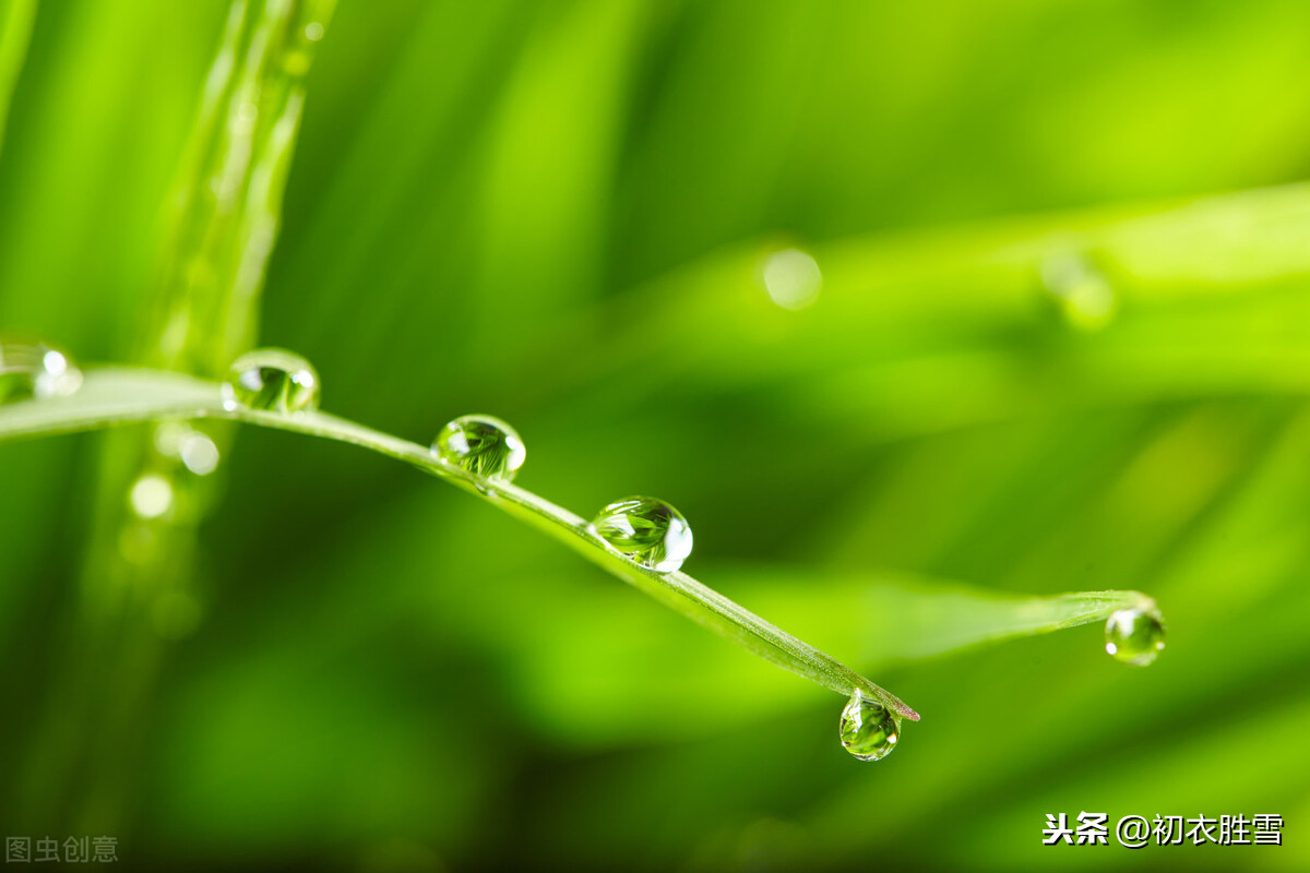 雨水节气，天一生水，赏读6首美丽的春水和春雨诗