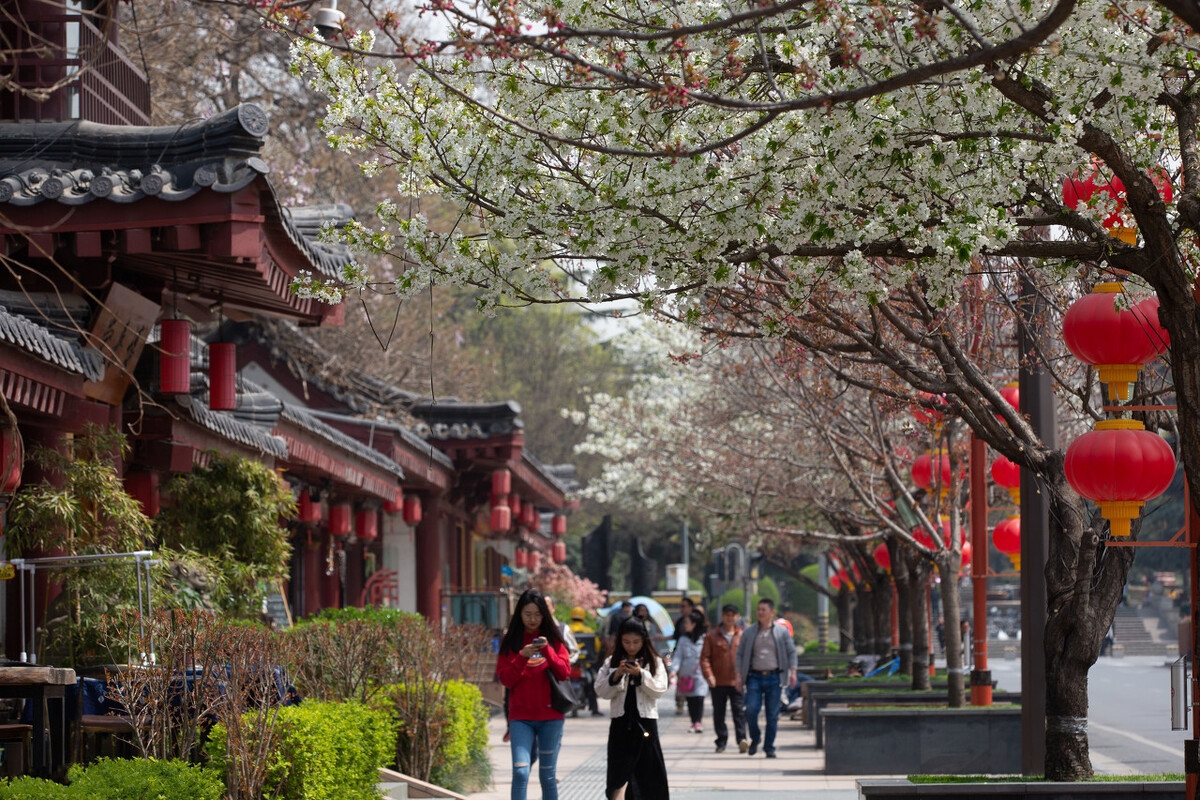 春天最适合小住三五天的12个地方，错过这些美景，又要等一年