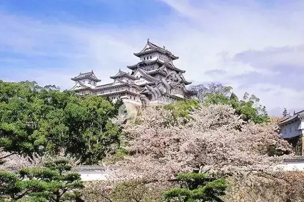 中国十大最美高校，风景区里上学，你的母校上榜了吗？