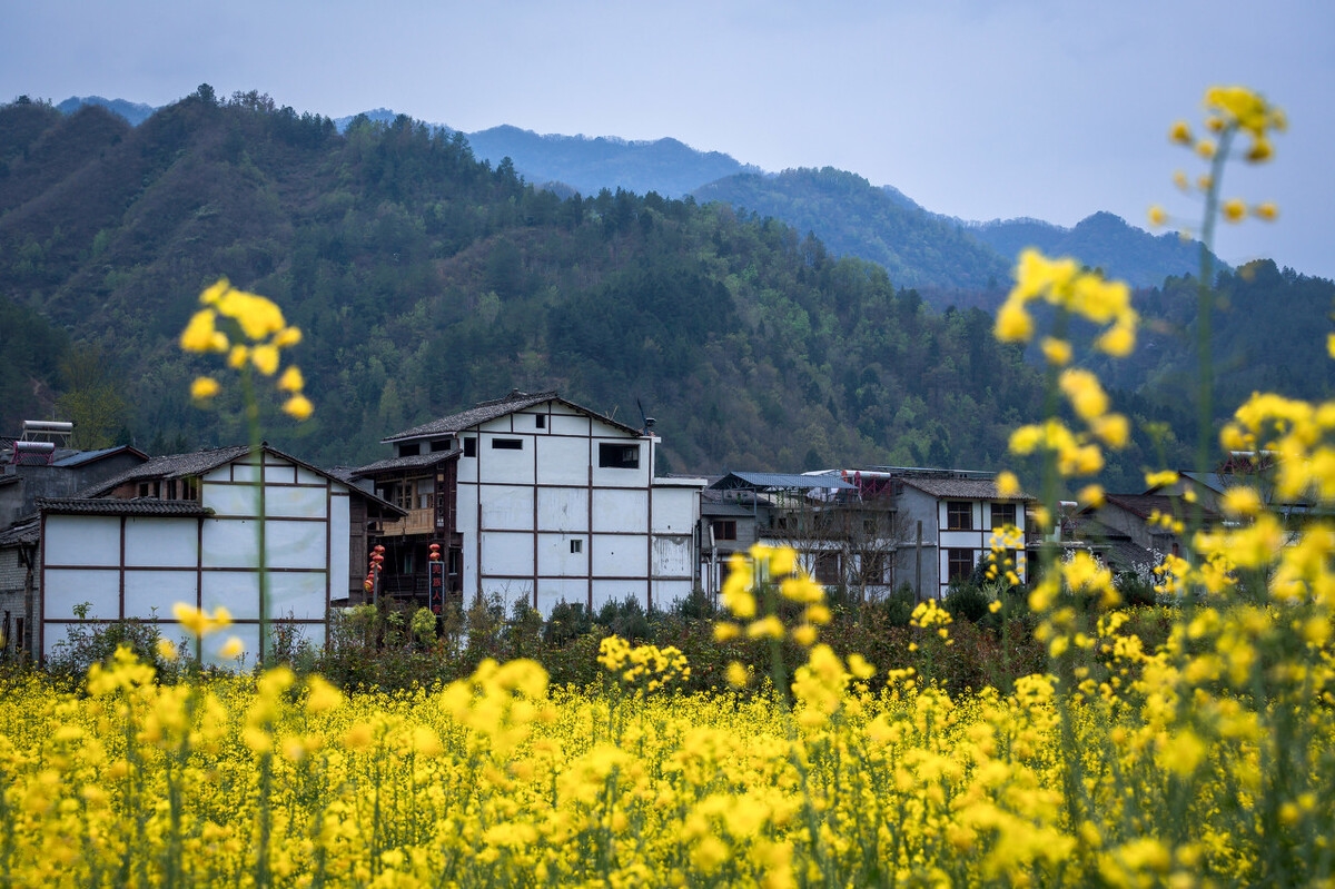 春季旅行去哪好？国内这25个地方，最适合3-5月出发