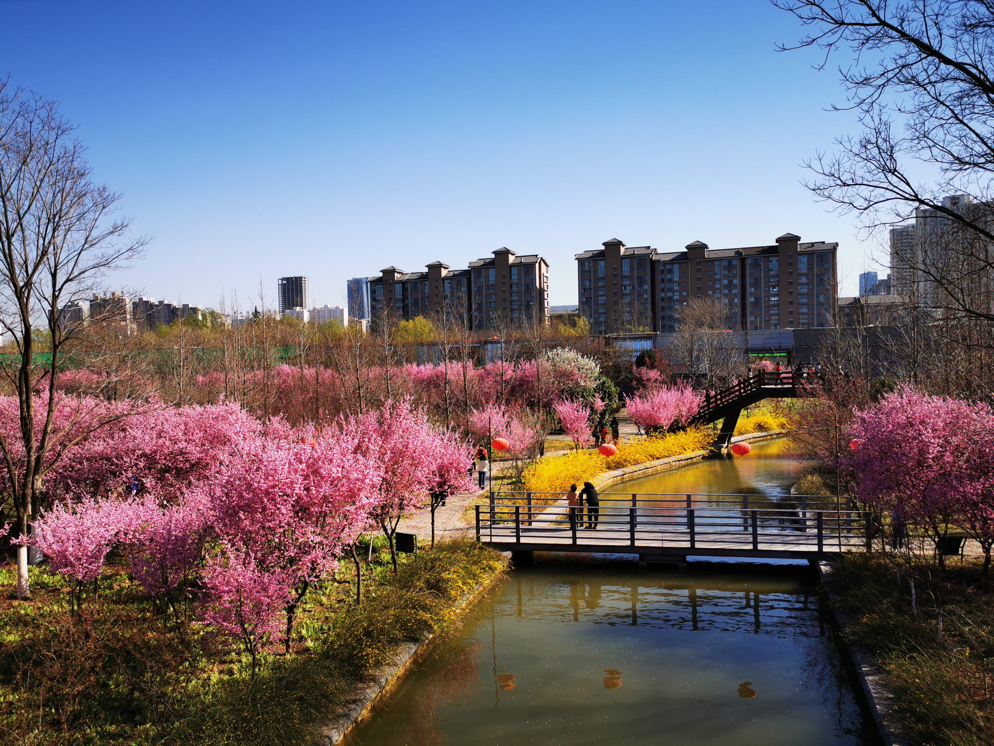 没有去过这十五个地方，不要说你来过洛阳，都在市区