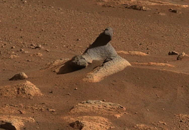 毅力号在火星发现一头海豹？这次照片很清晰，原来是一个风雕