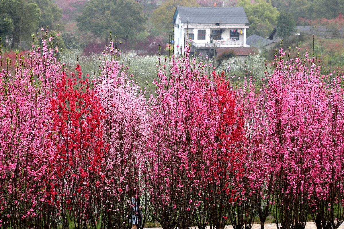 适合春天的13个小众旅行地，帮你躲开人潮，避免千篇一律的玩法