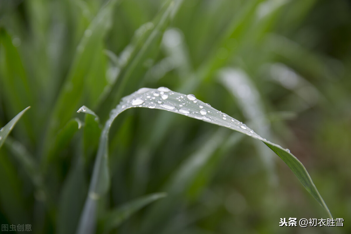 王维春雨劝裴迪，冷邃透骨又知心温润，诗里有王维隐居的真正原因