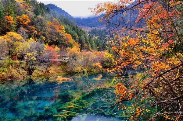 魅力四川，四季风景惊艳了世界