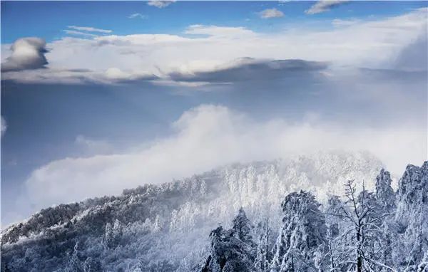 魅力四川，四季风景惊艳了世界