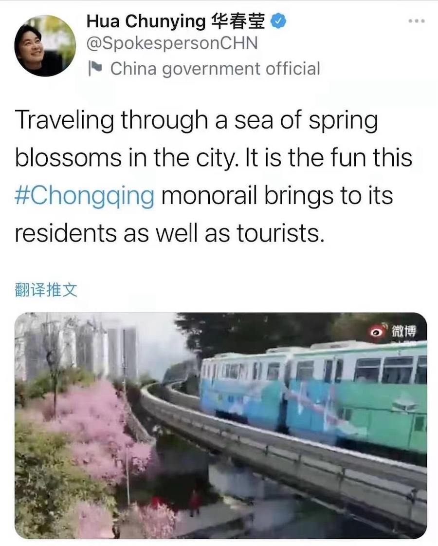 华春莹点赞“开往春天的列车”，重庆这片花海出圈了