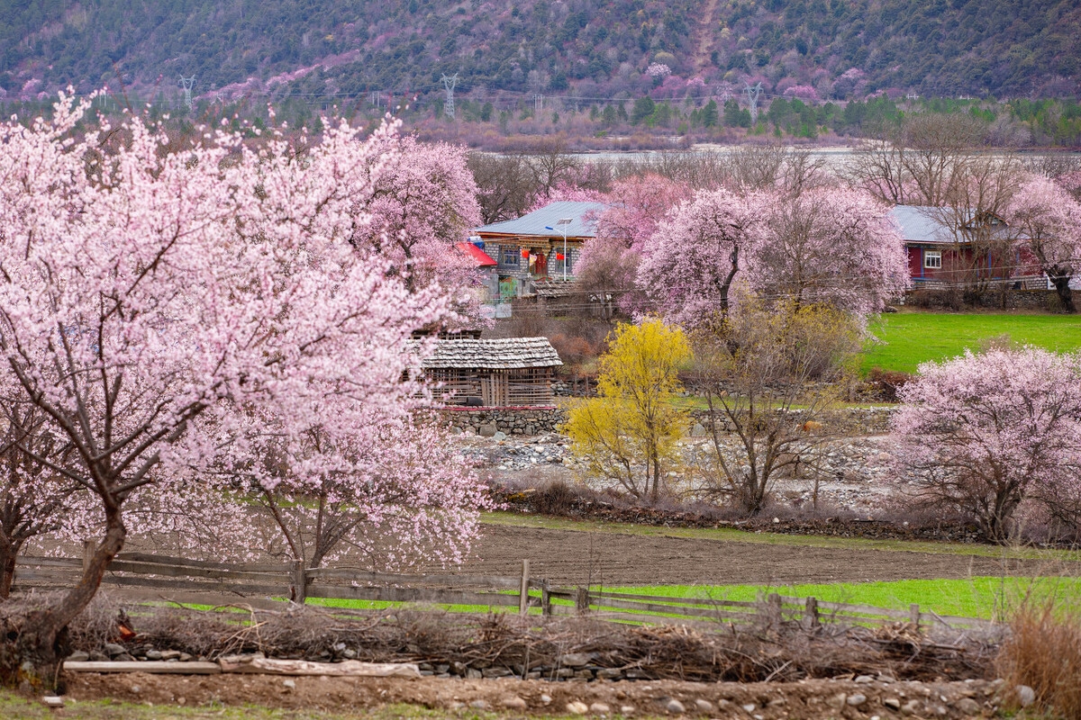 春天最适合小住三五天的12个地方，错过这些美景，又要等一年