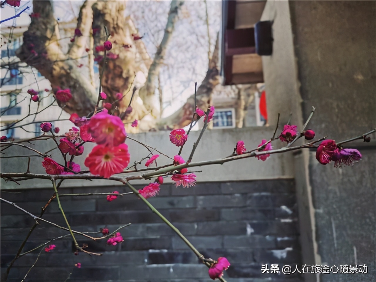 曾有“中国最美街道”之称，这里的别墅群是感怀民国风情的好去处