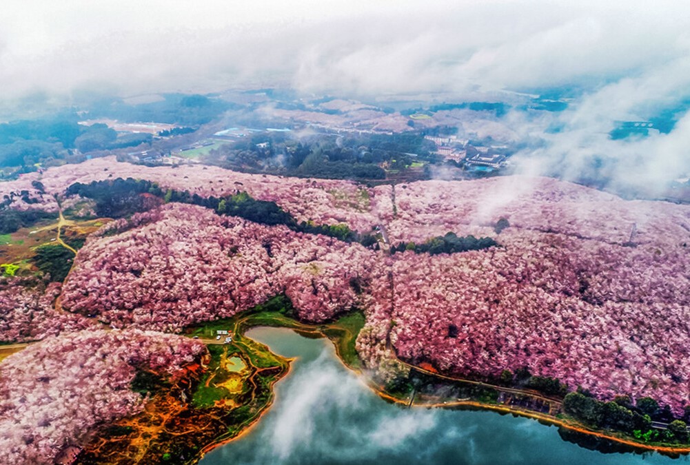 春季旅行去哪好？国内这25个地方，最适合3-5月出发