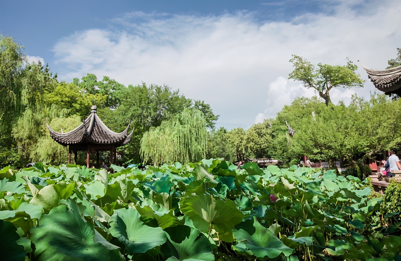 网友们推荐的口碑好，又值得一去的旅游清单，清明五一约起来