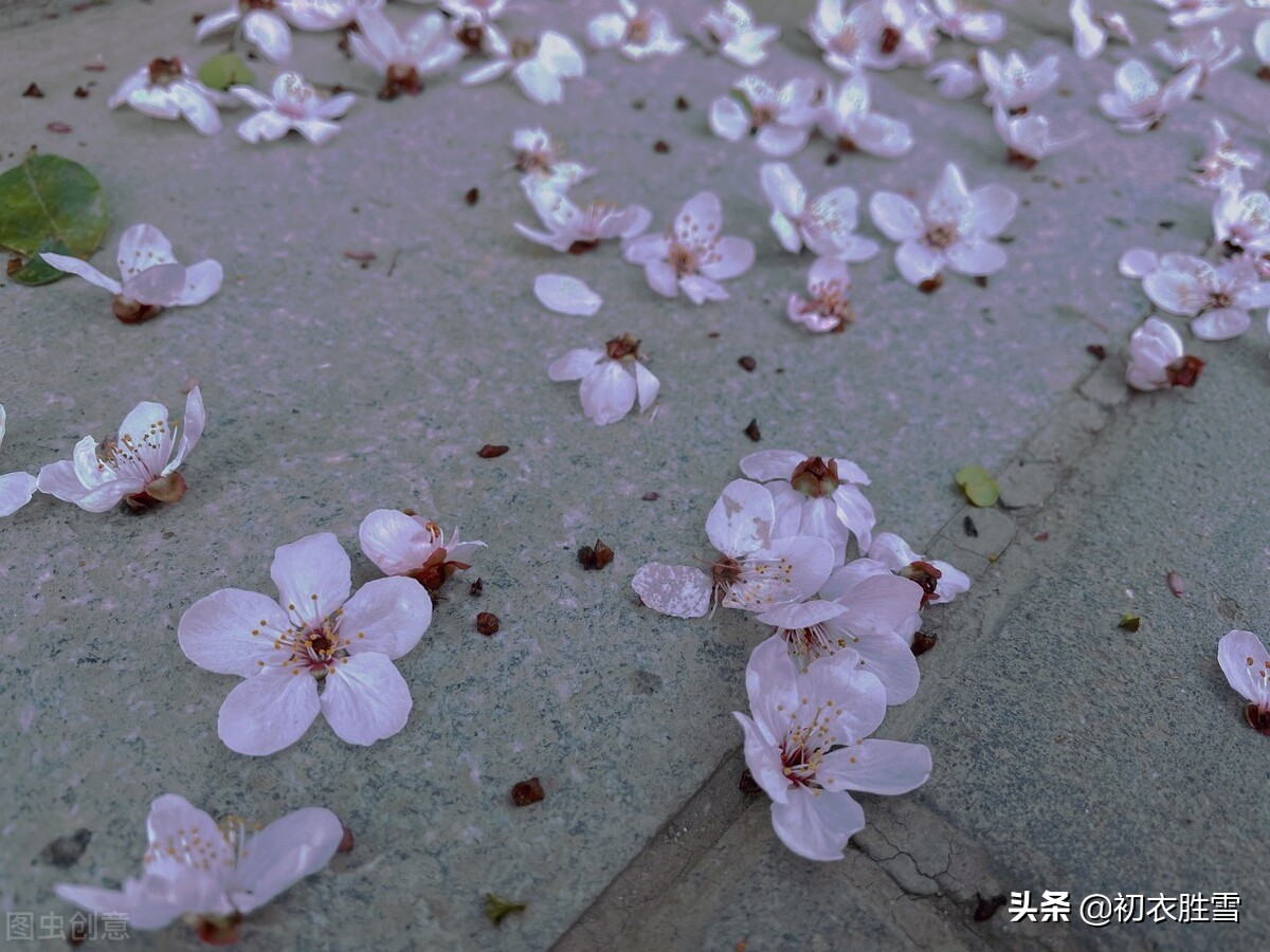 探读纳兰性德仲春美词：落尽繁花小院幽，一种烟波各自愁