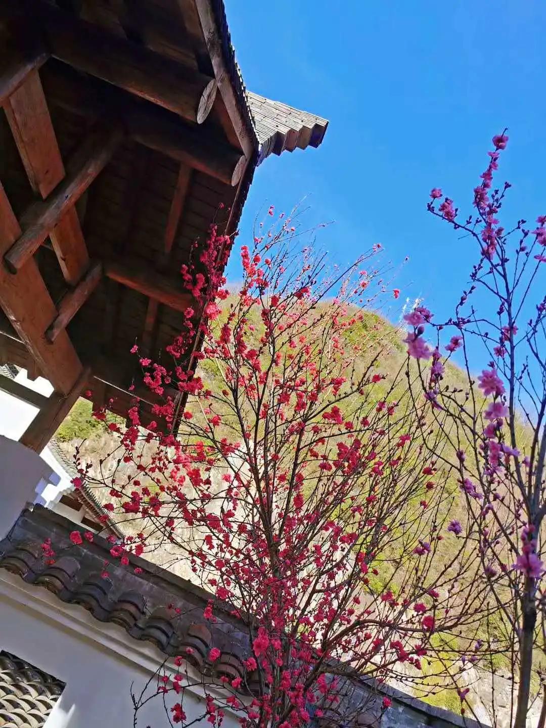 西安周边最惊艳人的十家民宿，充满诗情画意，如春日里的世外桃源